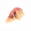 Lot #898 - THE WOLFMAN (2010) - Lawrence Talbot's (Benecio Del Toro) Teeth - 11