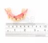 Lot #898 - THE WOLFMAN (2010) - Lawrence Talbot's (Benecio Del Toro) Teeth - 15