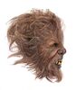 Lot #899 - THE WOLFMAN (2010) - Stunt Wolfman Mask - 7