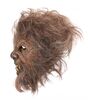 Lot #899 - THE WOLFMAN (2010) - Stunt Wolfman Mask - 8