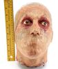 Lot #906 - X-MEN ORIGINS: WOLVERINE (2009) - Weapon XI's (Ryan Reynolds) Severed Head - 7