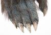 Lot #910 - X-MEN: FIRST CLASS (2011) - Beast's (Nicholas Hoult) Feet - 4