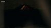 Lot #215 - DRACULA (TV MINI-SERIES, 2020) - Dracula's (Claes Bang) Dead Transformation Wolf - 13