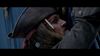 Lot #558 - PIRATES OF THE CARIBBEAN: ON STRANGER TIDES (2011) - Captain Jack Sparrow's (Johnny Depp) Pirate Hat - 18