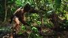 Lot #152 - CAST AWAY (2000) - Chuck Noland's (Tom Hanks) Desert Island Loincloth - 14