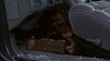 Lot #432 - JUMANJI (1995) - Peter's (Bradley Pierce) Monkey Costume Components - 12