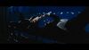 Lot #505 - MISSION: IMPOSSIBLE - ROGUE NATION (2015) - Flute Rifle - 18