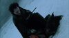 Lot #618 - SLEEPY HOLLOW (1999) - Headless Horseman's (Christopher Walken) Costume - 31