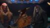 Lot #648 - STAR TREK: ENTERPRISE (TV SERIES, 2001-2005) - Klingon Hypospray and Vials - 13