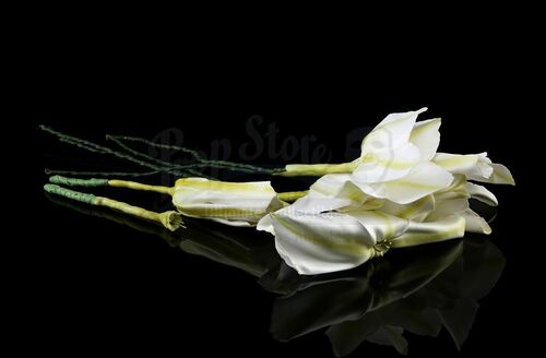 Lot # 91: THE HAUNTING OF BLY MANOR - Dani's Moon Flowers