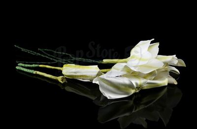 Lot # 91: THE HAUNTING OF BLY MANOR - Dani's Moon Flowers