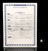Lot # 120: THE HAUNTING OF BLY MANOR - Dani Clayton and Jamie's Wedding Rings with Civil Union License