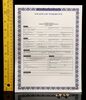 Lot # 120: THE HAUNTING OF BLY MANOR - Dani Clayton and Jamie's Wedding Rings with Civil Union License - 6