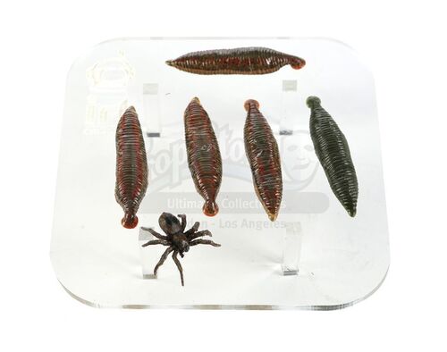 Lot # 136: THE HAUNTING OF BLY MANOR - Spider and Five Leeches