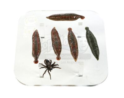 Lot # 136: THE HAUNTING OF BLY MANOR - Spider and Five Leeches