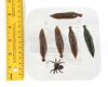Lot # 136: THE HAUNTING OF BLY MANOR - Spider and Five Leeches - 7
