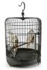 Lot # 151: THE HAUNTING OF BLY MANOR - Birds with Birdcage - 2
