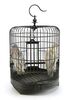 Lot # 151: THE HAUNTING OF BLY MANOR - Birds with Birdcage - 4