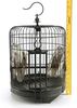 Lot # 151: THE HAUNTING OF BLY MANOR - Birds with Birdcage - 8