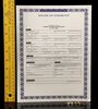 Lot # 163: THE HAUNTING OF BLY MANOR - Dani Clayton and Jamie's Wedding Rings with Civil Union License - 5