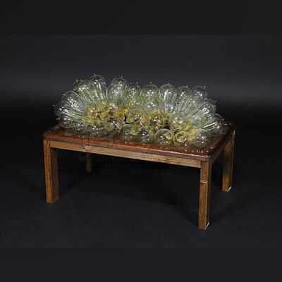 Hero Resonator Demonstration Bulb Tray