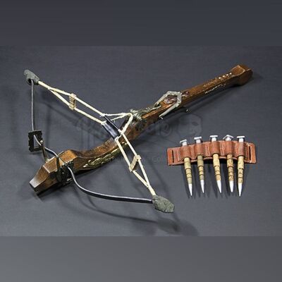 Crossbow & Bolt Set