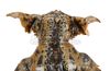 Lot #312 - GREMLINS 2: THE NEW BATCH (1990) - Hero George Gremlin - 12
