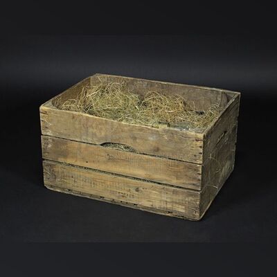 Resonator Light Bulb Crate