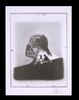 Lot #492 - STAR WARS: REVENGE OF THE JEDI (1983) - FEREF ARCHIVE: Original Negative with 1 of 1 Proof Print, 2021