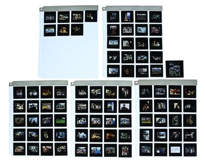 Lot #70 - JURASSIC PARK (1993) - FEREF ARCHIVE: 35mm Production and Promotional Slides