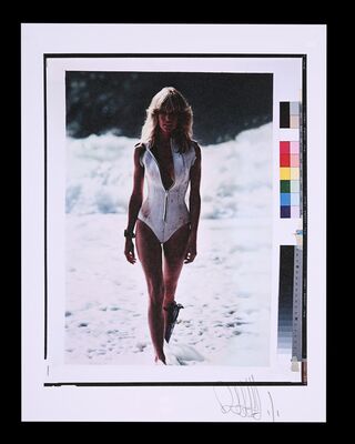 Lot #75 - SUNBURN (1979) - FEREF ARCHIVE: Original Transparency with 1 of 1 Proof Print, 2021