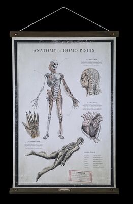 Lot #394 - THE SHAPE OF WATER (2017) - Special Promotional Poster Display, 2017
