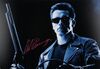 Lot #416 - TERMINATOR 2: JUDGEMENT DAY (1991) - Commercial Poster Autographed by Arnold Schwarzenegger - 2