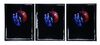 Lot #418 - UNIVERSAL SOLDIER (1992) - FEREF ARCHIVE: Original Transparencies and Negatives with 1 of 1 Proof Print, 2021 - 5