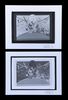 Lot #453 - STAR WARS: A NEW HOPE/EMPIRE STRIKES BACK DOUBLE BILL(1980), STAR WARS: A NEW HOPE/ EMPIRE STRIKES BACK/RETURN OF THE JEDI TRIPLE BILL (1983) - FEREF ARCHIVE: Original Negative with Four 1 of 1 Proof Prints, 2021 - 2
