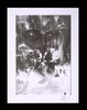 Lot #460 - STAR WARS: THE EMPIRE STRIKES BACK (1980) - FEREF ARCHIVE: Original Negative with 1 of 1 Proof Print, 2021