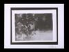 Lot #461 - STAR WARS: THE EMPIRE STRIKES BACK (1980) - FEREF ARCHIVE: Original Negative with 1 of 1 Proof Print, 2021