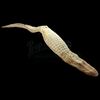 Lot # 15: ANNIHILATION - Full Body Stunt Albino Alligator