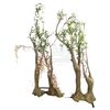 Lot # 20: ANNIHILATION - Two Stand-In Human Shaped Trees