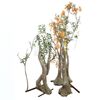 Lot # 25: ANNIHILATION - Two Stand-In Human Shaped Trees