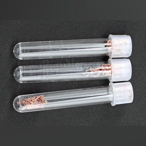 Lot # 30: ANNIHILATION - Three Lena Pool Sample Containers