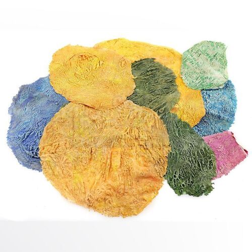 Lot # 52: ANNIHILATION - 10 Mutant Fungi Growths