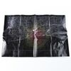 Lot # 56: ANNIHILATION - Dr. Ventress' Geographical Map of the Shimmer