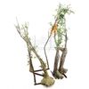 Lot # 76: ANNIHILATION - Two Stand-In Human Shaped Trees