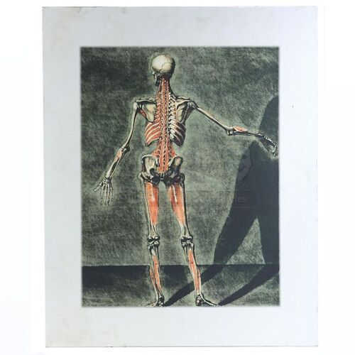 THE TWILIGHT SAGA: NEW MOON (2009) - Cullen Home Anatomy Painting