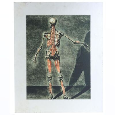 THE TWILIGHT SAGA: NEW MOON (2009) - Cullen Home Anatomy Painting