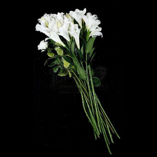 THE TWILIGHT SAGA: BREAKING DAWN PART 1 (2011) - Bella Swan's Long Nightmare Wedding Flowers