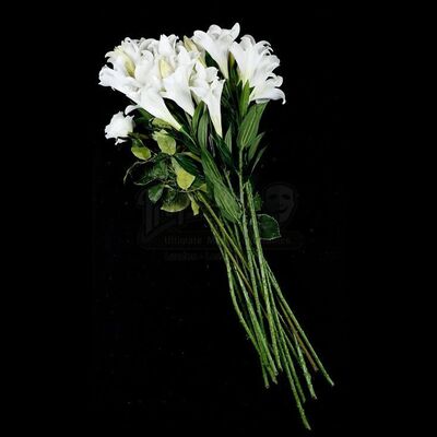 THE TWILIGHT SAGA: BREAKING DAWN PART 1 (2011) - Bella Swan's Long Nightmare Wedding Flowers