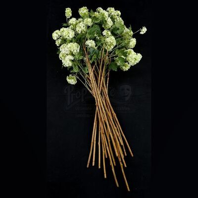 THE TWILIGHT SAGA: BREAKING DAWN PART 1 (2011) - Bella Swan's Long Wedding Flowers