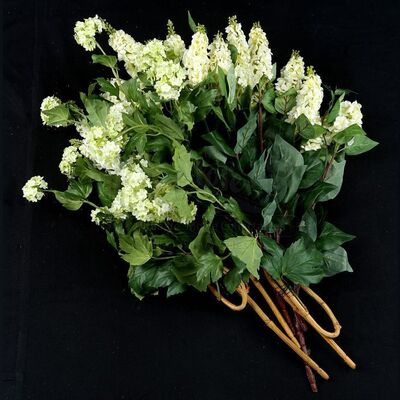 THE TWILIGHT SAGA: BREAKING DAWN PART 1 (2011) - Bella Swan's Wedding Flowers